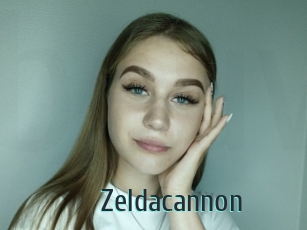 Zeldacannon